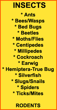 Kill Bed Bugs in Middletown/ Kill Bed Bugs Middletown, Ohio