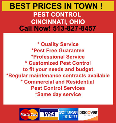 Mice and Rat Control in Cincinnati / Mice and Rat Control Cincinnati, Ohio