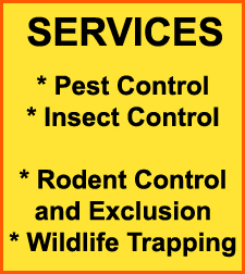 Pest Control in Covington/ Pest Control Covington Kentucky