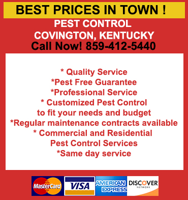 Pest Control in Covington/ Pest Control Covington Kentucky