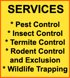 Pest Control in Fairfield/ Pest Control Fairfield, Ohio