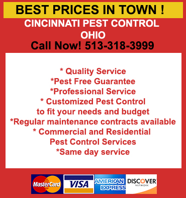 Pest Control in Fairfield/ Pest Control Fairfield, Ohio