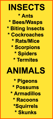 Pest Control in Florence/ Pest Control Florence, Kentucky