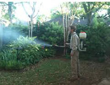GREEN MOSQUITO Control in JAMES ISLAND/ GREEN MOSQUITO Control JAMES ISLAND South Carolina
