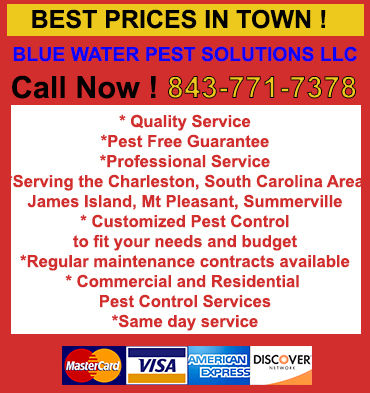 MOSQUITO Control in North Charleston/ MOSQUITO Control North Charleston South Carolina
