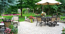 Pest Control in Charleston/ Pest Control Charleston South Carolina