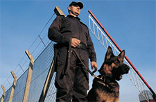 Security Guards in Ennis / Security Guards Ennis Texas / Dallas Security Guards Texas