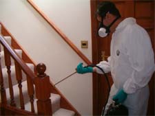 Pest Control in HAMILTON : Pest Control HAMILTON Ohio