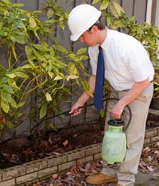 Pest Control in HAMILTON : Pest Control HAMILTON Ohio