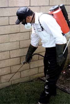 Pest Control in HAMILTON : Pest Control HAMILTON Ohio