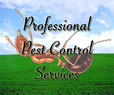 Pest Control in HAMILTON : Pest Control HAMILTON Ohio