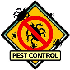 Pest Control in HAMILTON : Pest Control HAMILTON Ohio