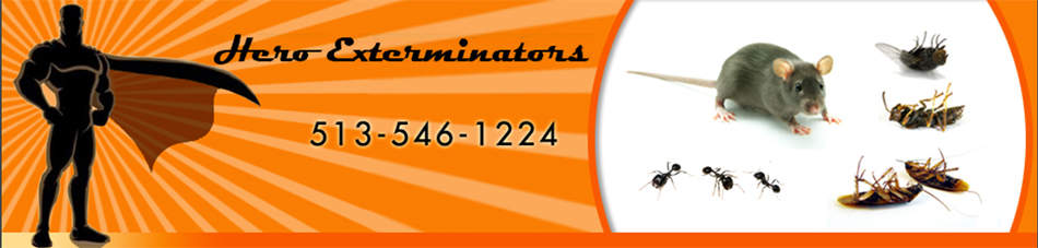 Pest Control in HAMILTON : Pest Control HAMILTON Ohio