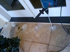 Termite Control in Springfield/ Termite Control Springfield, Virginia