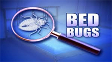 Bed Bugs Heat Treatment in Cedar Park | Bed Bugs Heat Treatment Cedar Park Texas