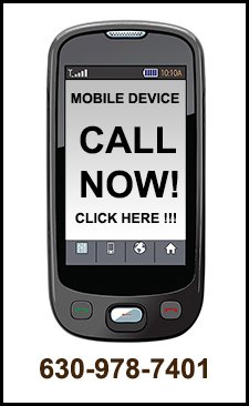 Pest Control in Northlake / Pest Control Northlake Illinois